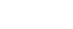 Custom Logo 2